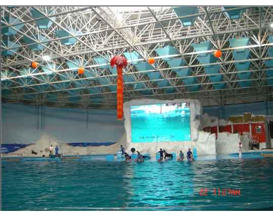 甘南游泳馆螺栓球网架